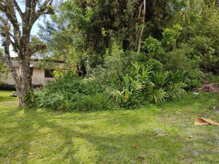 Ref.:T-049 - Terreno bem localizado, proxímo ao centro de Matinhos.