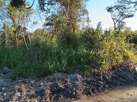 Ref.: T-050 - Terrenos à venda no Balneário Praia Grande em Matinhos